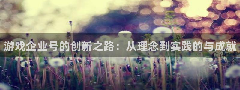 雷火竞技是什么品牌：游戏企业号的创新之路：从理念到实践的与成就