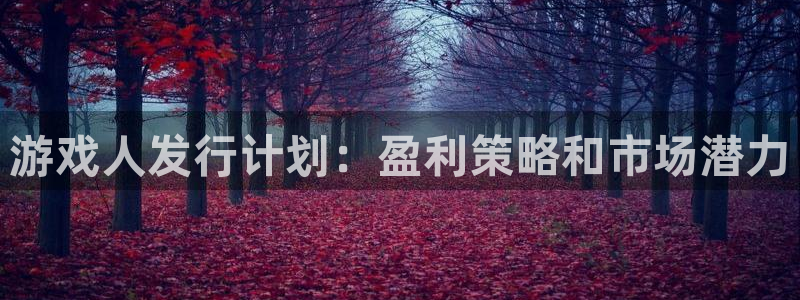 雷火竞技科技：游戏人发行计划：盈利策略和市场潜力