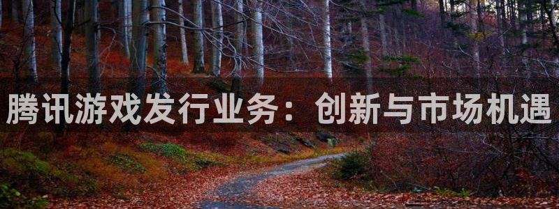 雷火电竞代理开号平台