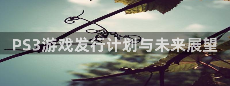 雷火竞技子寓意：PS3游戏发行计划与未来展望