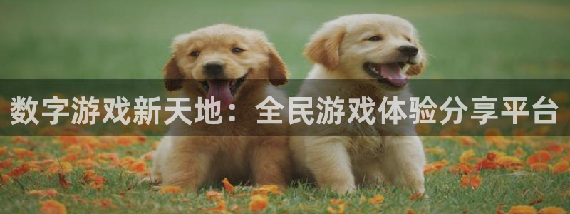 雷火竞技注册开户