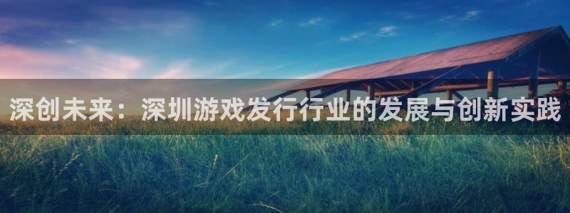雷火竞技子经理人读后感：深创未来：深圳游戏发行行业的发展与创新实践