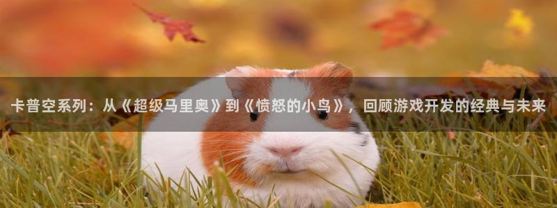 雷火电竞注册登录不了