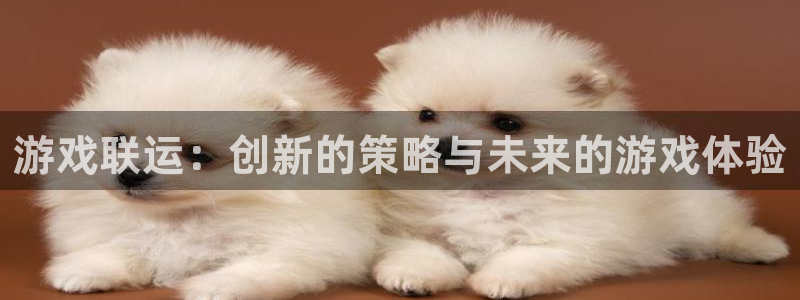 雷火电竞代理开号怎么开：游戏联运：创新的策略与未来的游戏体验