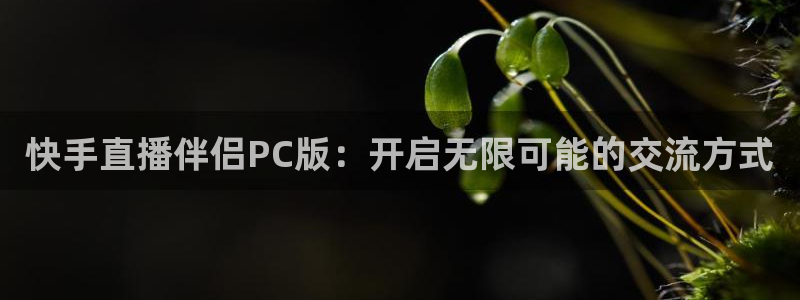 178足球在线直播视频直播：快手直播伴侣PC版：开启无限可能的交流方式