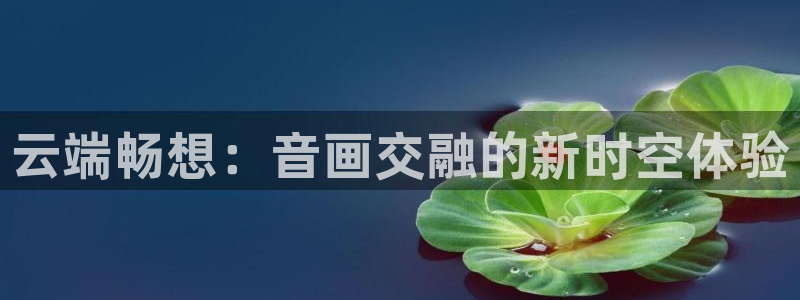 178tyzb 直播体育：云端畅想：音画交融的新时空体验