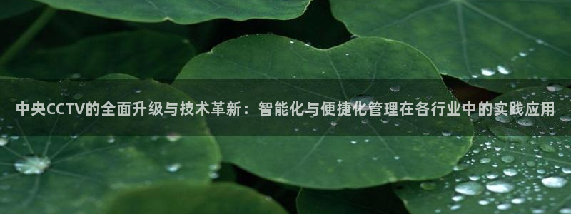 178直播体育赛事nba新版.好游网.org：中央CCTV的全面升级与技术革新：智能化与便捷化管理在各行业中的实践应用