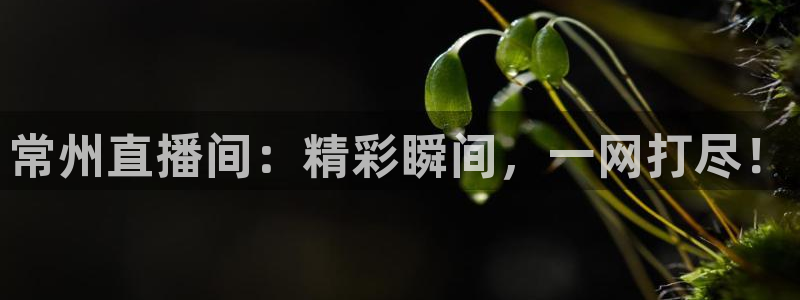 178篮球体育直播：常州直播间：精彩瞬间，一网打尽！