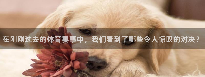 178比赛免费直播：在刚刚过去的体育赛事中，我们看到了哪些令人惊叹的对决？